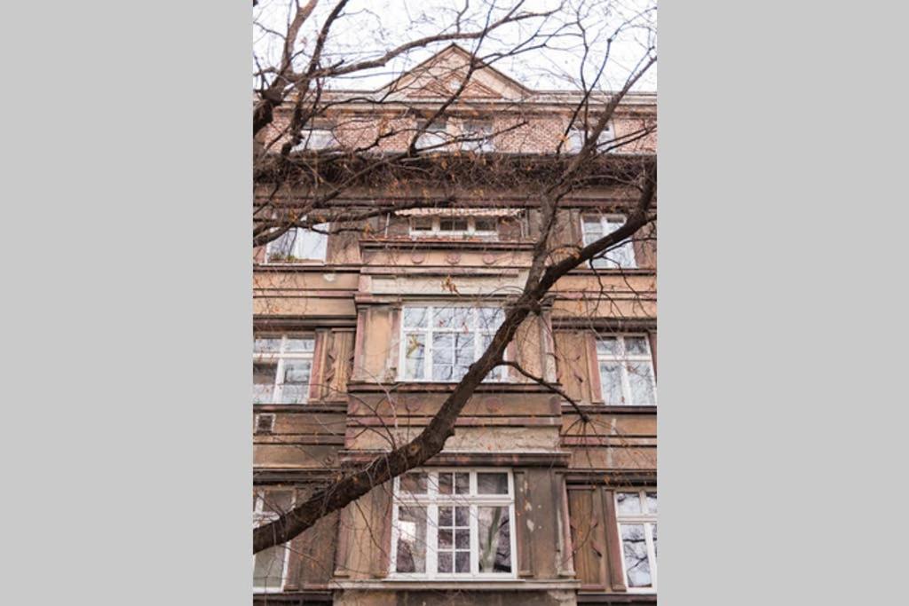 Lion Apartments In Historical Center, Bratislava Old Town Extérieur photo